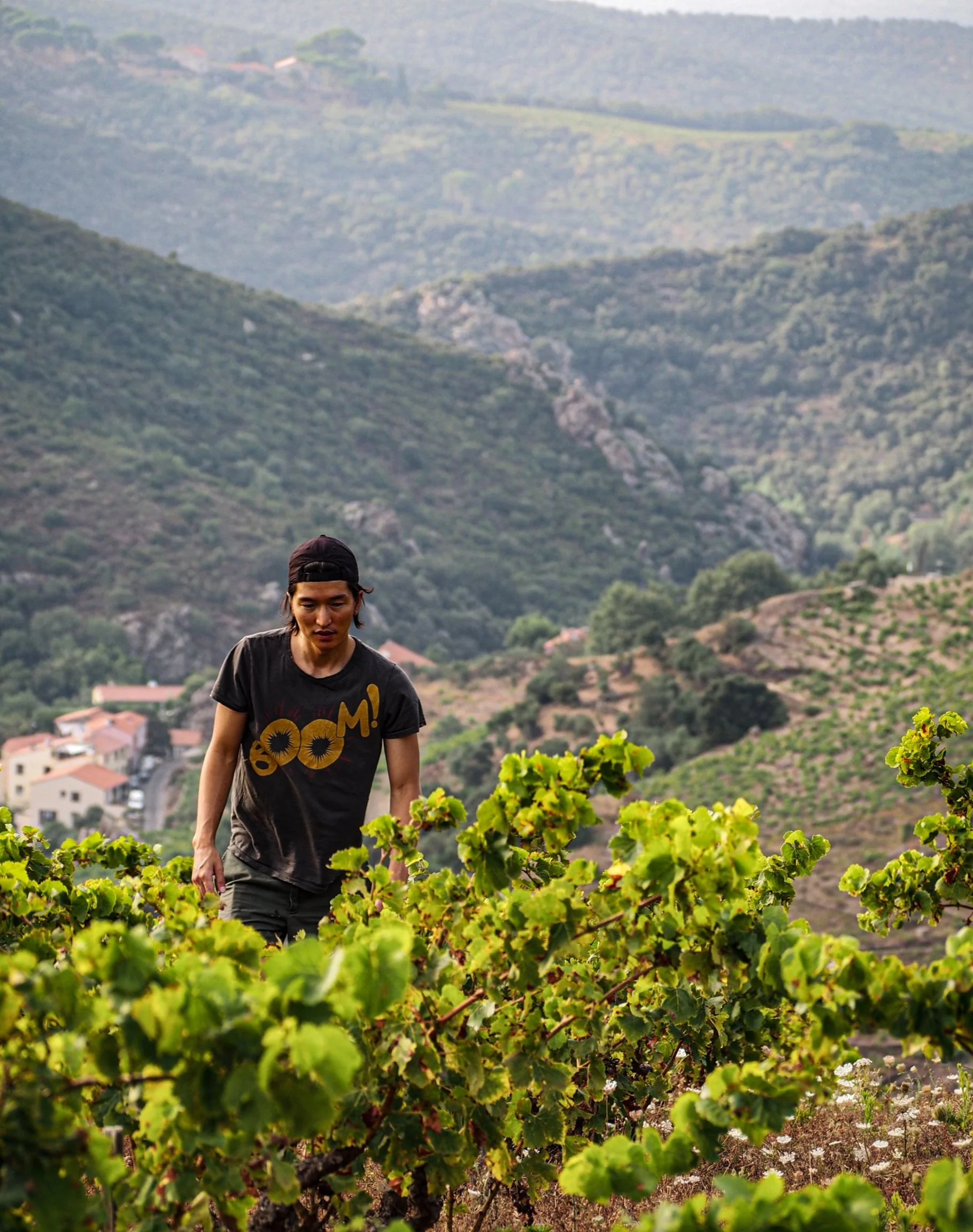 Pedres Blanques | LITTLEWINE | The knowledge platform